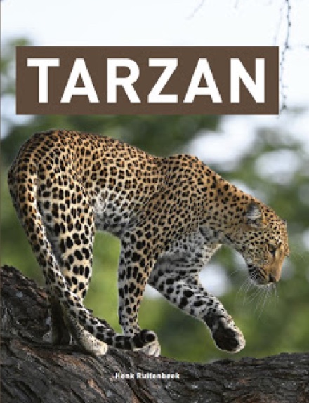 Cover Tarzan Boek